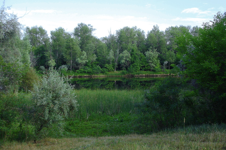 DSC01056-web-no-sharpening.jpg