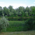 Зелёная фотография